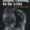 atlas of human anatomy for the artist