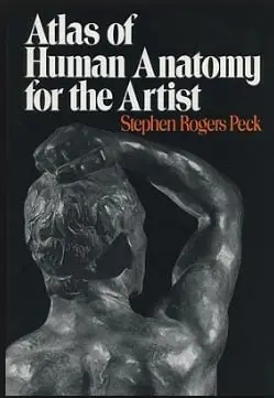 atlas of human anatomy for the artist