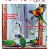 australian how to paint magazine how to paint 42 back issue