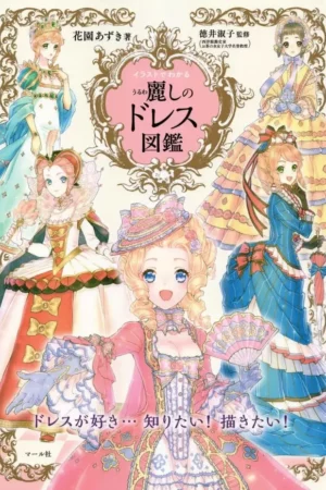 beautiful dress illustrations book small