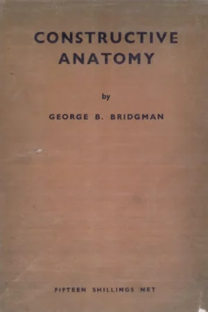 constructive my by george b bridgman