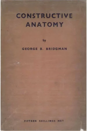 constructive y by george b bridgman