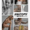 cover image anatomy for artists 1