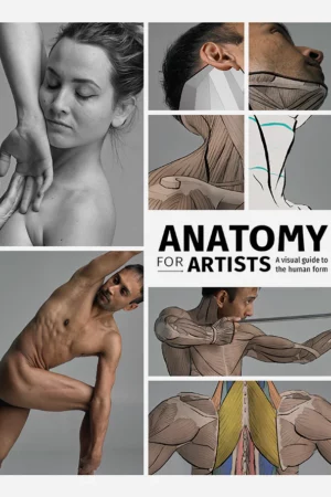 cover image anatomy for artists
