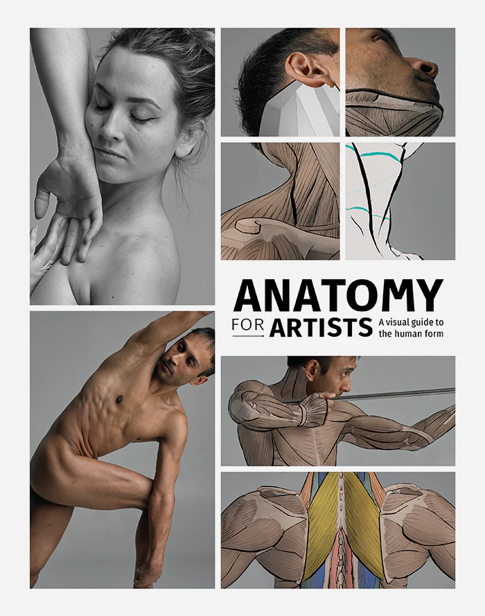 cover image anatomy for artists