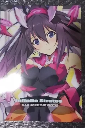 cover image doujinshi infinite stratos book direct from