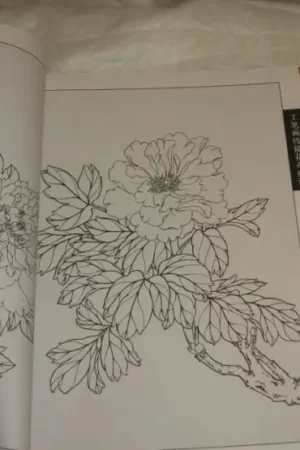 cover image flowers drawing book peonies