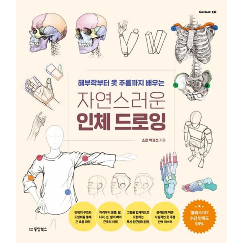 cover image natural human body drawing guide book