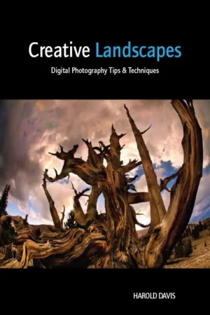creative landscapes digital photography tips techniques