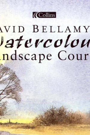 david bellamys watercolour landscape course