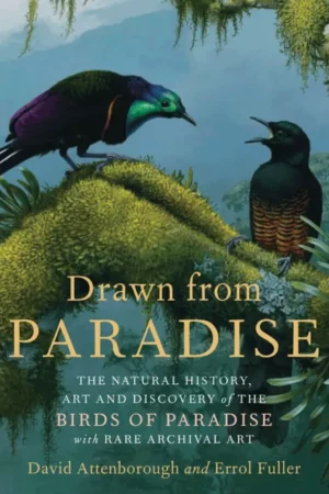 drawn from paradise
