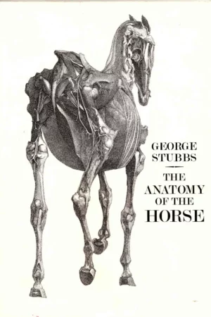 george stubbs the anatomy of the horse