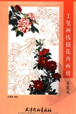 gongbihuaxian miao hua huihuapu