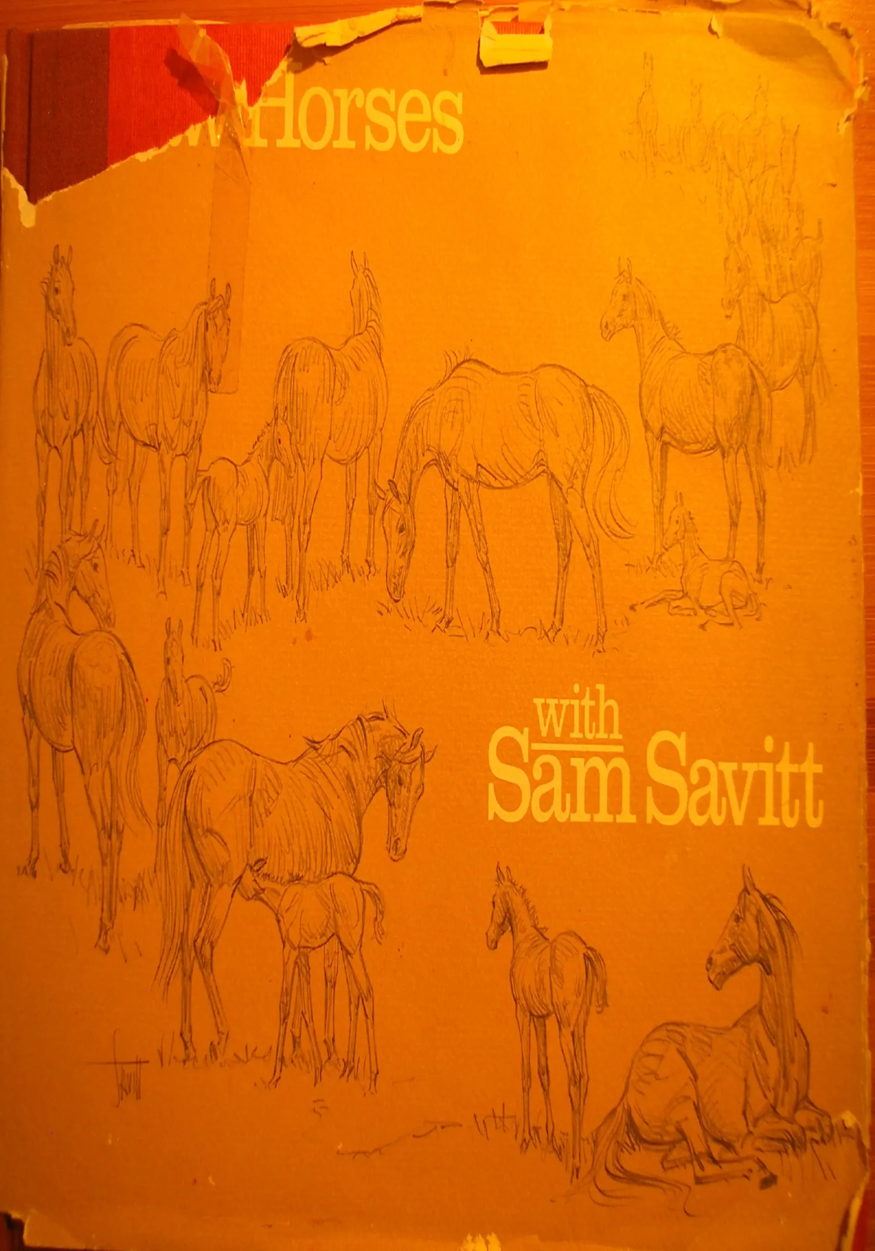 horses with sam savitt