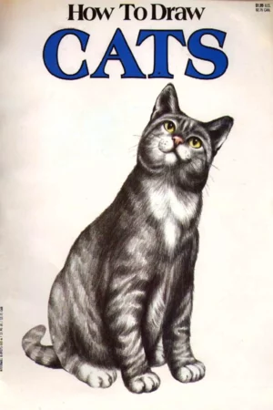 how to draw cats