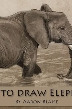 how to draw elephants2