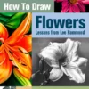 how to draw flowers lessons from lee hammond