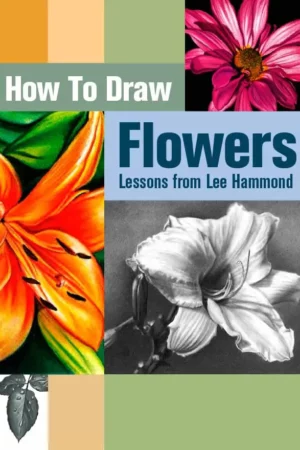how to draw flowers lessons from lee hammond