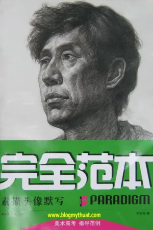 how to draw portrait 015 fineartvn blogspot com