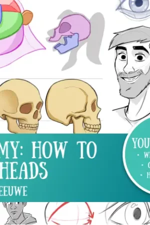 how to learn anatomy the heads