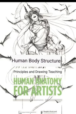 human body structure principles and drawing teaching