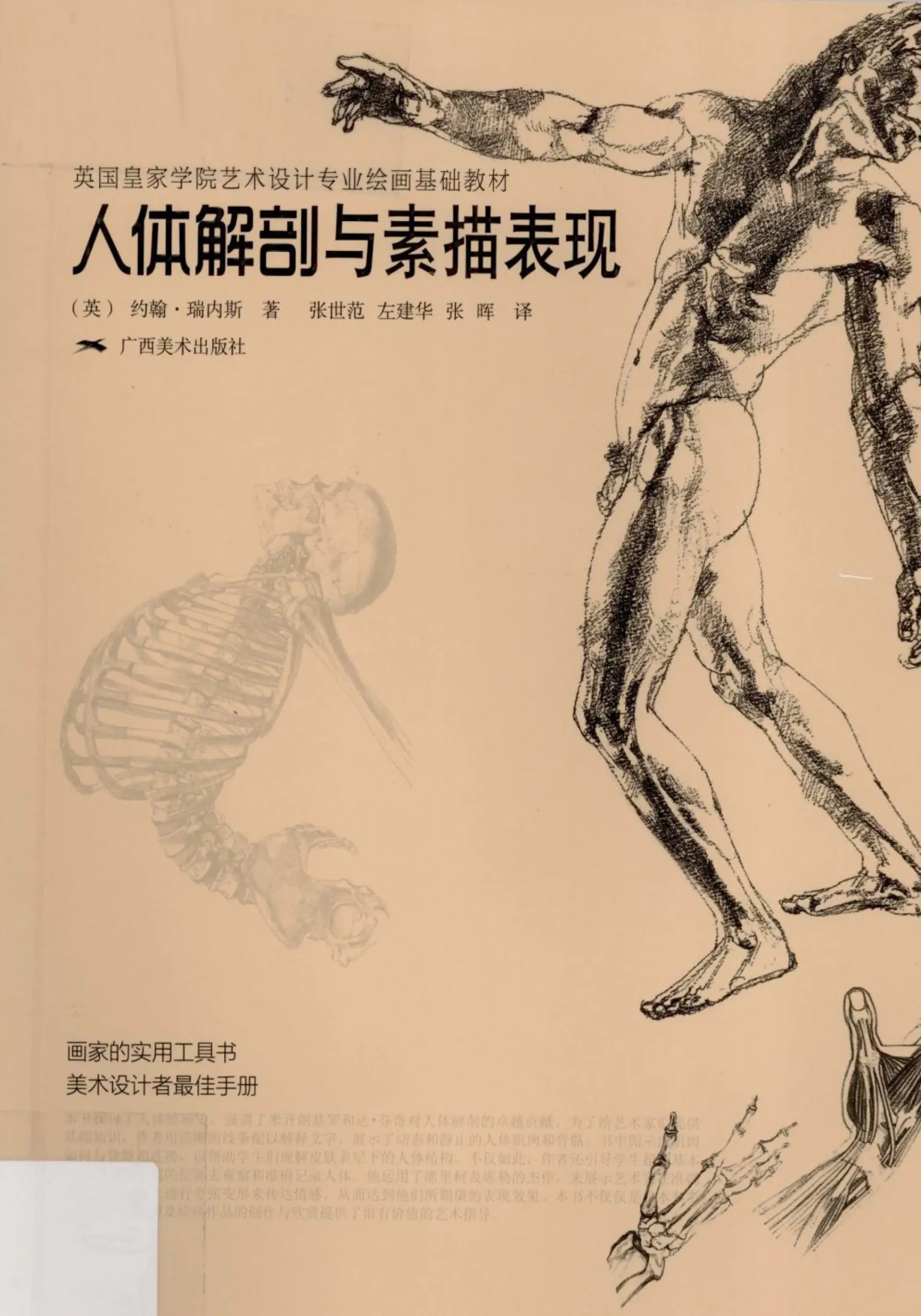human anatomy and sketch show