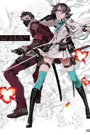 iii codevfd visual collection