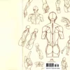 lezhin point character drawing volume