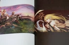 lineage ii the chaotic chronicle visual fan book authentic japan12