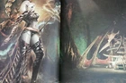lineage ii the chaotic chronicle visual fan book authentic japan14