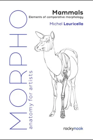 morpho anatomy for artists mammals elements of comparative morphology michel lauricella