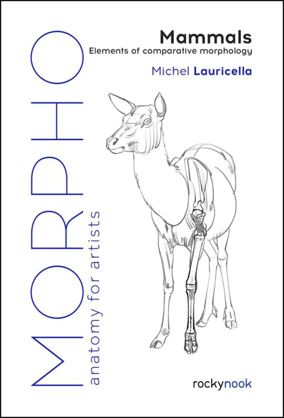 morpho anatomy for artists mammals elements of comparative morphology michel lauricella