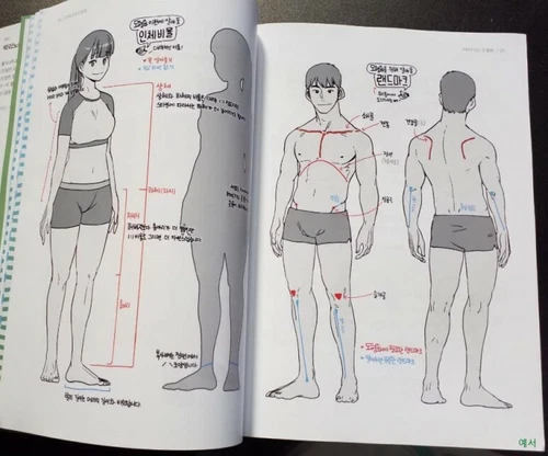 new dynamic drawing lesson book webtoon drawing sketch korean8