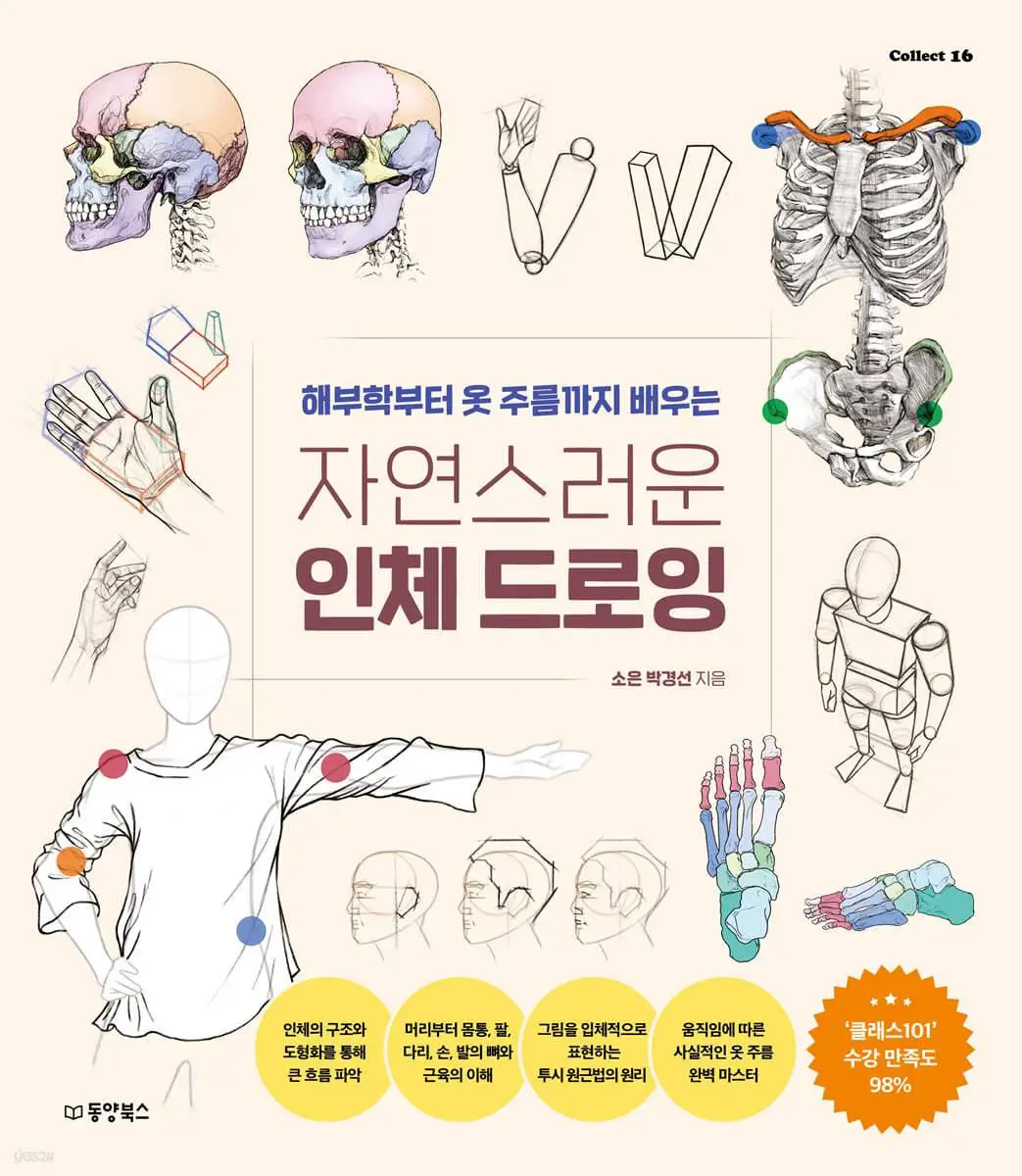 natural human body drawing guide book korean book