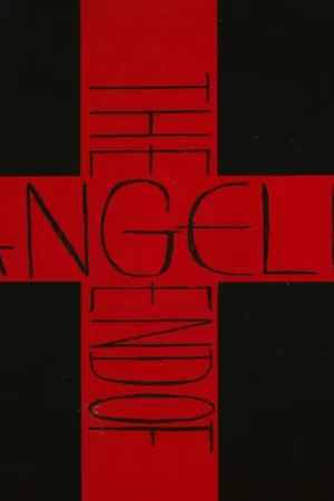 neon genesis evangelion red cross book