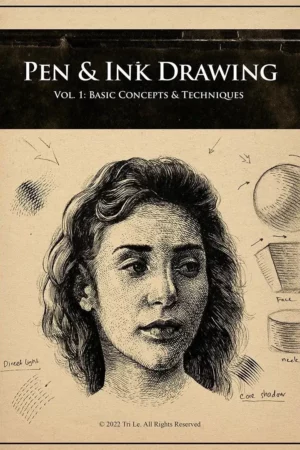 pen ink drawing vol 1 basic concepts techniques