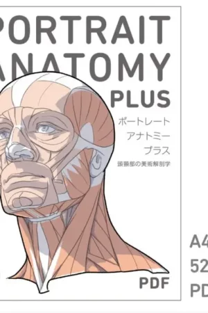 portrait anatomy plus