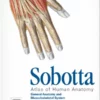 sobotta atlas of human anatomy