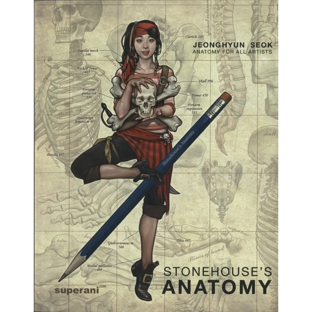 stonehouses anatomy