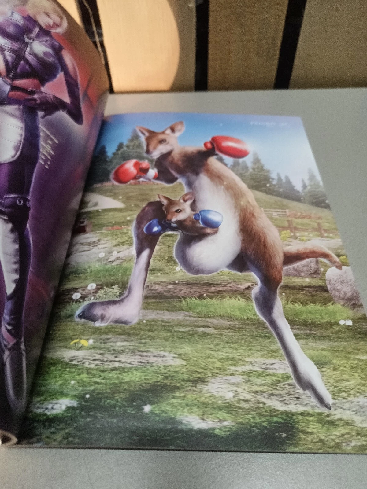 tekken 6 limited edition art book6