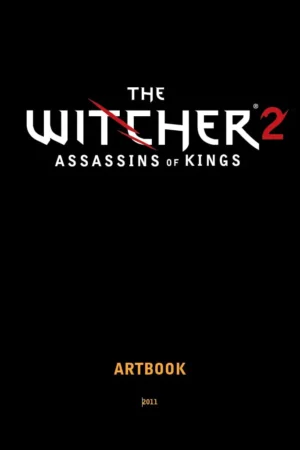 the witcher2 assassins of kings