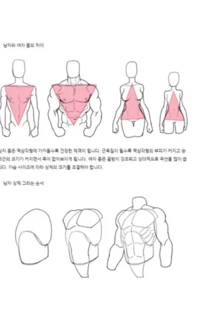 the easy drawing lesson book webtoon drawing sketch korean the 13