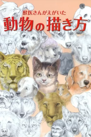veterinarian teaches you how to draw animal sketches