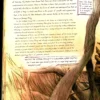 anatomy of a metahuman 06 swamp thing