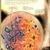 anatomy of a metahuman 11 bizarro