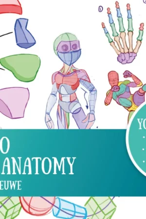 how to learn anatomy