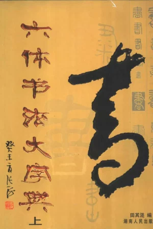 image 24