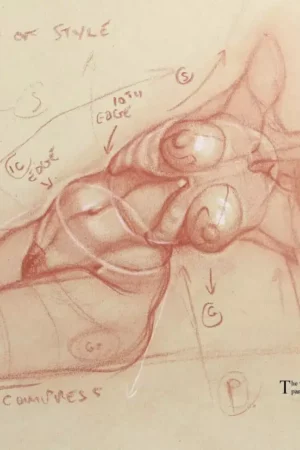 photo 2025 03 08 11 10 51