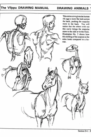 vilppu drawing animals