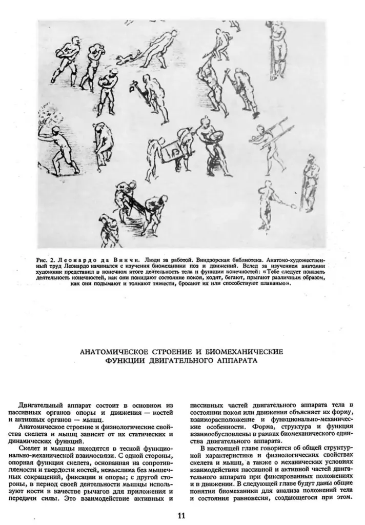 Пластическая анатомия. Том 1. Формы тела в покое и в движении
